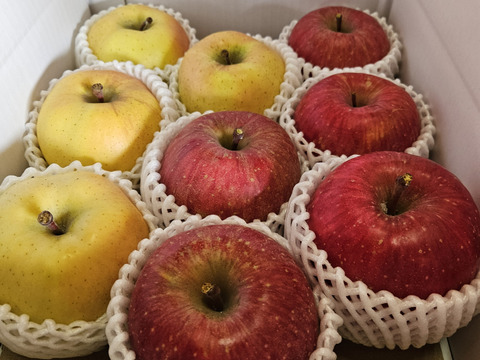 食べ比べ！！青森県産3品種詰合せりんご約3㎏（キャップ8～10個）