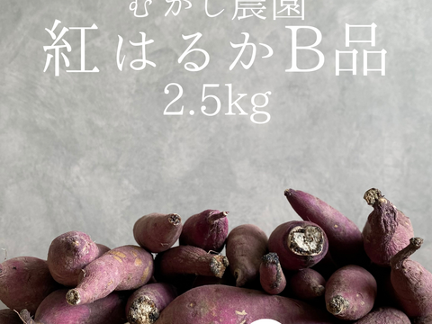 有機JAS認証 B品 訳あり さつまいも 追熟完了 紅はるか 青森県 2.5キロ