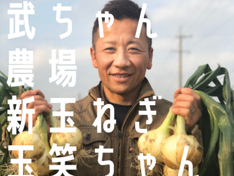 武ちゃん農場の笑顔の野菜『玉笑ちゃん』5kg（13個程度）