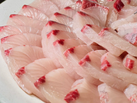 【人気No.1】百年漁師の鰤&真鯛　スキンレスロイン詰合せ　冷凍　熨斗対応可