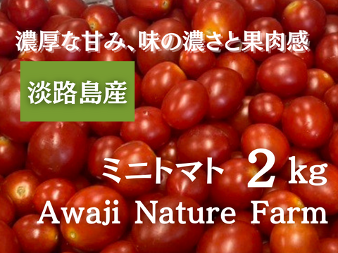 【ミニトマト2kg】淡路島産　濃厚な甘みと味の濃さが魅力的な品種「ジャングル」