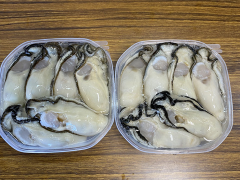 『大粒剥き身牡蠣』パック詰め(13粒前後)約500g