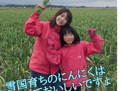 テレビで紹介された生にんにく10玉🧄青森にんにくの王様白玉王👑【月1000箱売れてます】