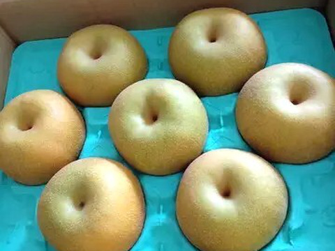 【幸水３ｋｇ】高原の「幸水」は硬さ、シャリ感、ジューシー、甘さが違う。⑧海藻エキス投与で、コクと旨味のある梨にグレードアップ！【秀品】