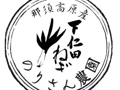 冬の大名！下仁田ねぎ　訳あり１㎏