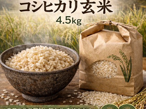 栽培期間中農薬不使用!! 京丹後産『コシヒカリ』玄米4.5kg
