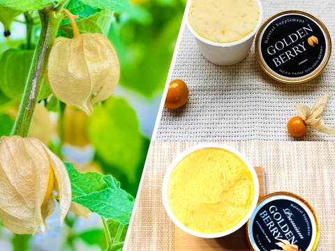 どっちが好き？ゴールデンベリー（食用ほおずき）アイス食べ比べセット120ml×6個入り