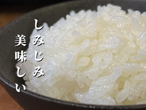 特別栽培米コシヒカリ（白米）10kg 　令和4年石川県産