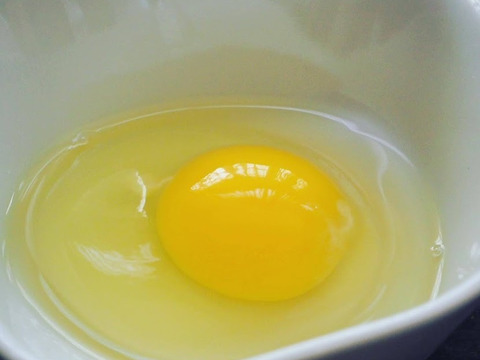 【40個入】レモン色の黄身！昔ながらの美味しい「平飼い卵」
