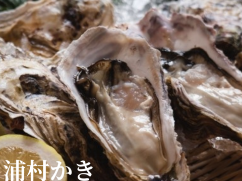 牡蠣好き歓喜の30%増量中！三重県産 殻付き 浦村かき M～Lサイズ 30個入り（約3.3kg前後）（3～6人前）【生牡蠣】【生食用】貝類 海鮮 バーベキューに BBQ お歳暮 母の日ギフト