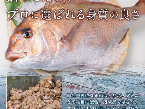芳醇な香り‼真鯛の胡麻醤油漬け【Firesh®︎】※解凍するだけ‼組み合わせ自由！【単品商品】