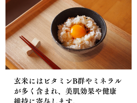 あきたこまち 【玄米】新米 R7年度産  30kg 秋田県産 あきたこまち