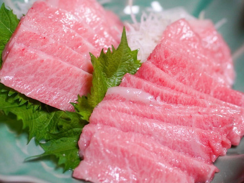 ベンGさん専用　本鮪中大　アオリイカ