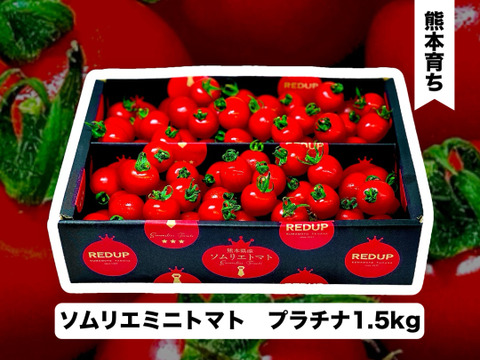 【特別栽培農産物の取得】ソムリエミニトマト　プラチナ　１.５kg（７５玉～９０玉）