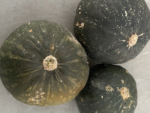 【お得用】有機JAS　ホクホクあまーい　オーガニックかぼちゃ