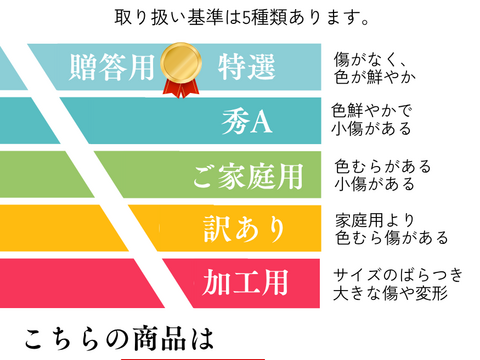 シナノゴールド 3kg 箱入り パリッと爽やか 酸味と甘みの絶妙なバランス  10個 貯蔵でパリパリ お中元 ギフト 誕生日 お祝い フルーツギフト