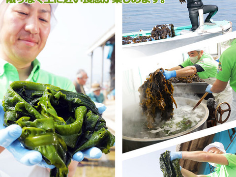 大感謝祭！福袋４０００円！缶べぇ３本 アカモク４個 わかめ２袋