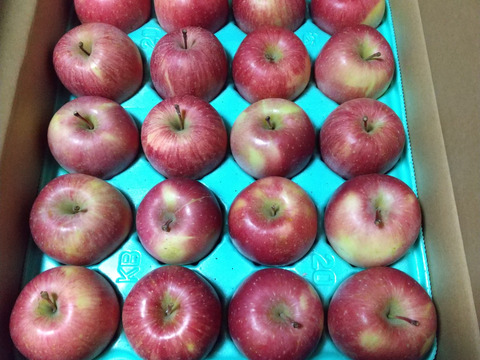 キズなし良品🍎低農薬【サンふじ 5kg】皮ごとおいしい葉とらずりんご もぎたて食感長持ち（スマートフレッシュ）貯蔵 特別栽培認証取得✨ 贈答