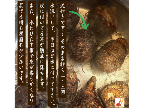 皮ごと茹でて✨美味しい ✨小ぶりな里芋1kg(セレベス:赤目芋)｜農家直送✅｜家庭用🎁❗️