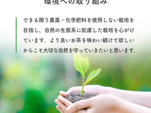 【合わせ買い・3袋】HARUHANAべにふうき 粉末緑茶 50g 静岡牧之原