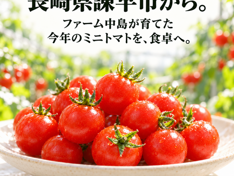おのんとまと。甘味と酸味が絶妙バランス✨（800g）