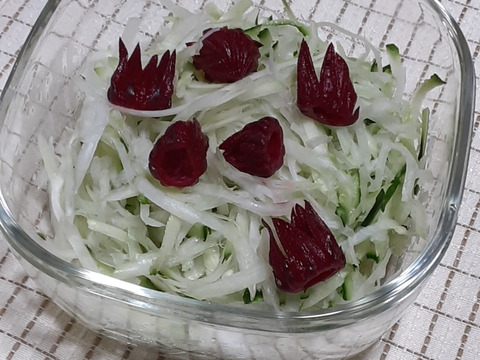 フレッシュ生ローゼル500ｇ