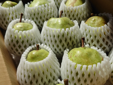 トロリとした食感！秋田県産『ラ・フランス』3㎏