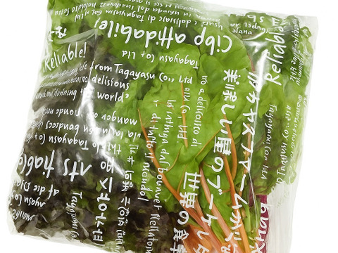 新登場！！これ１つで完結！栽培期間中農薬不使用の彩り葉野菜ミックス/即席サラダセット　400ｇ×1袋