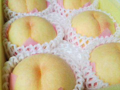 桃の王様！岡山白桃トップクラスの高糖度【川中島白桃】（贈答用・約2kg）