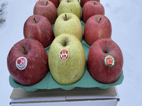 サンふじ＆王林　家庭用　約３キロ　クリスマスカラーの詰合せをサンタりんご園よりお届け