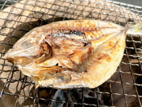 【特選地魚食べ比べ】一夜干しや味醂干し漁師手作り干物セット 20パック入り