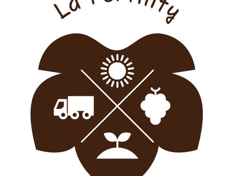 ☆予約注文☆ 皮ごと丸ごと！広島県産ナガノパープル１房【約400g】（８月下旬順次発送）