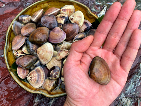 【冬ギフト】人気厳選★魚介詰め合わせ