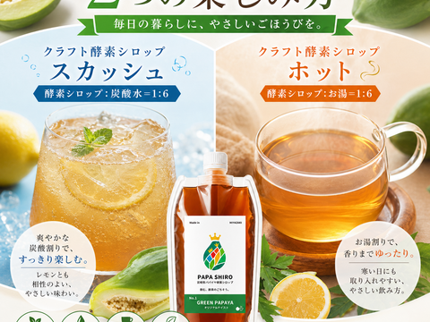 パパイア王子 お試しセット｜宮崎県産 青パパイヤ酵素シロップ・ノンカフェイン茶・レトルトカレー 詰め合わせ ポスト投函