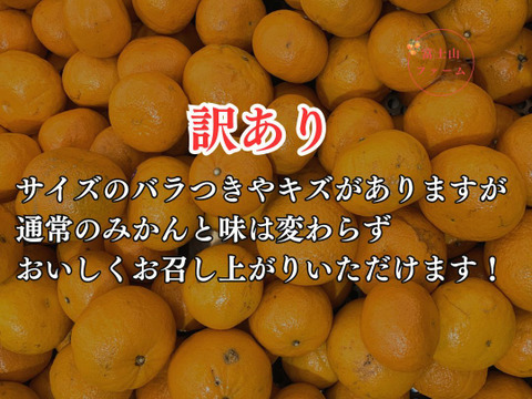 【約4.5キロ箱込 訳ありみかん】 寿太郎みかん 西浦みかん 訳あり 自宅用 静岡産 【3月下旬までの季節限定品！】