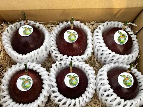 甘い南国の味。パッションフルーツ（6個入り）