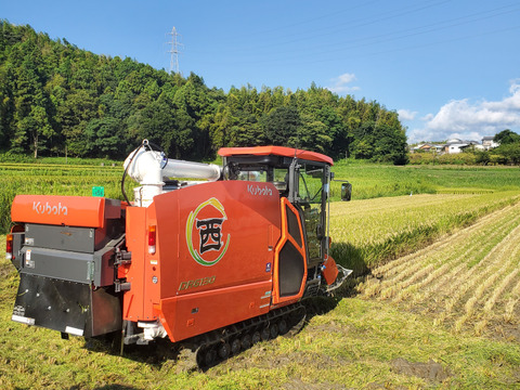 令和6年産 三重県ブランド米 結びの神 5kg 精米   みえの安心食材認定