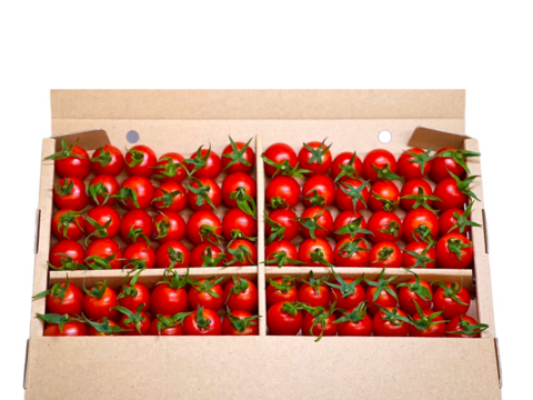 【特別栽培農産物の取得】ソムリエミニトマト　プラチナ　８００ｇ（５０玉～８０玉）