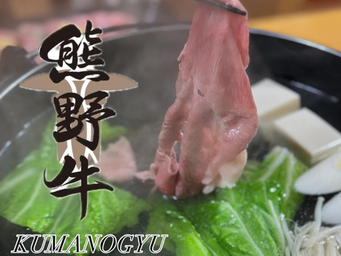 和歌山県産最高級ブランド黒毛和牛【熊野牛】（霜降りロース250g・赤身モモ250g）食べ比べ、すき焼き、しゃぶしゃぶ用