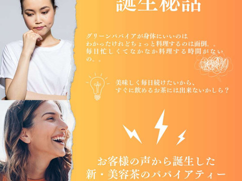 ＼PAPA CHA No.1／酵素の王様ティー -グリーンパパイヤ- 31個入り