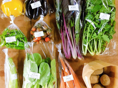 お待たせしました!販売再開*【無農薬】採れたての旬の野菜*大(7-10品目)
