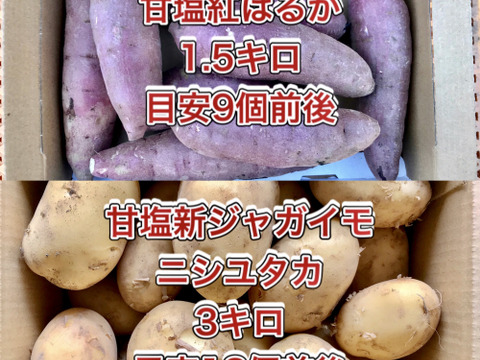 【鹿児島産】甘塩新ジャガイモ3キロ・サツマイモ1.5キロ^_^
