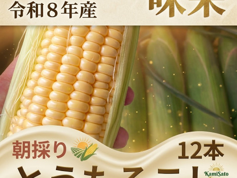 朝どれ新鮮　味来　とうもろこし１２本