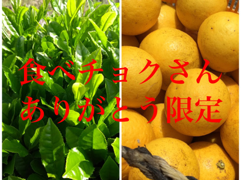 食べチョク限定!手摘み新茶100gとニューサマーオレンジ2キロセット