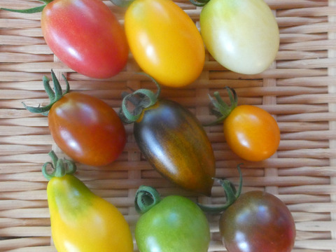 季節の野菜セット７～８品（Ｍサイズ・3～4kg前後）旬の野菜をお届けします