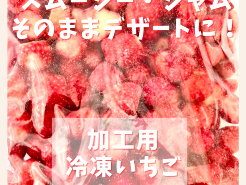 【香川県産】甘くて美味しい冷凍いちご♪スムージーやジャム、そのままデザートに！！（２kg）