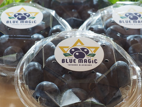 「パリッ！」とした食感　人気の特大粒～大粒ブルーベリーユーリカ 110g×４パック化粧箱入り