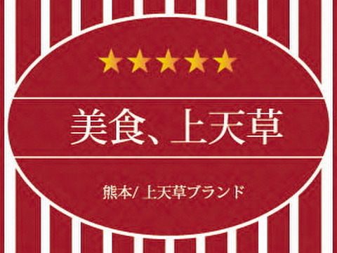 【活きたままお届け！】熊本・天草の車海老（15～20尾/500g）×2個