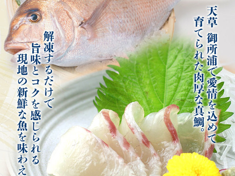 NEW★香ばしさがたまらない！真鯛の炙り刺身【Firesh®︎】※解凍するだけ‼組み合わせ自由！【単品商品】