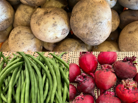 増量中！【北海道産】新じゃが(男爵)2.5㎏＋ビーツ1.8㎏＋インゲン350g！